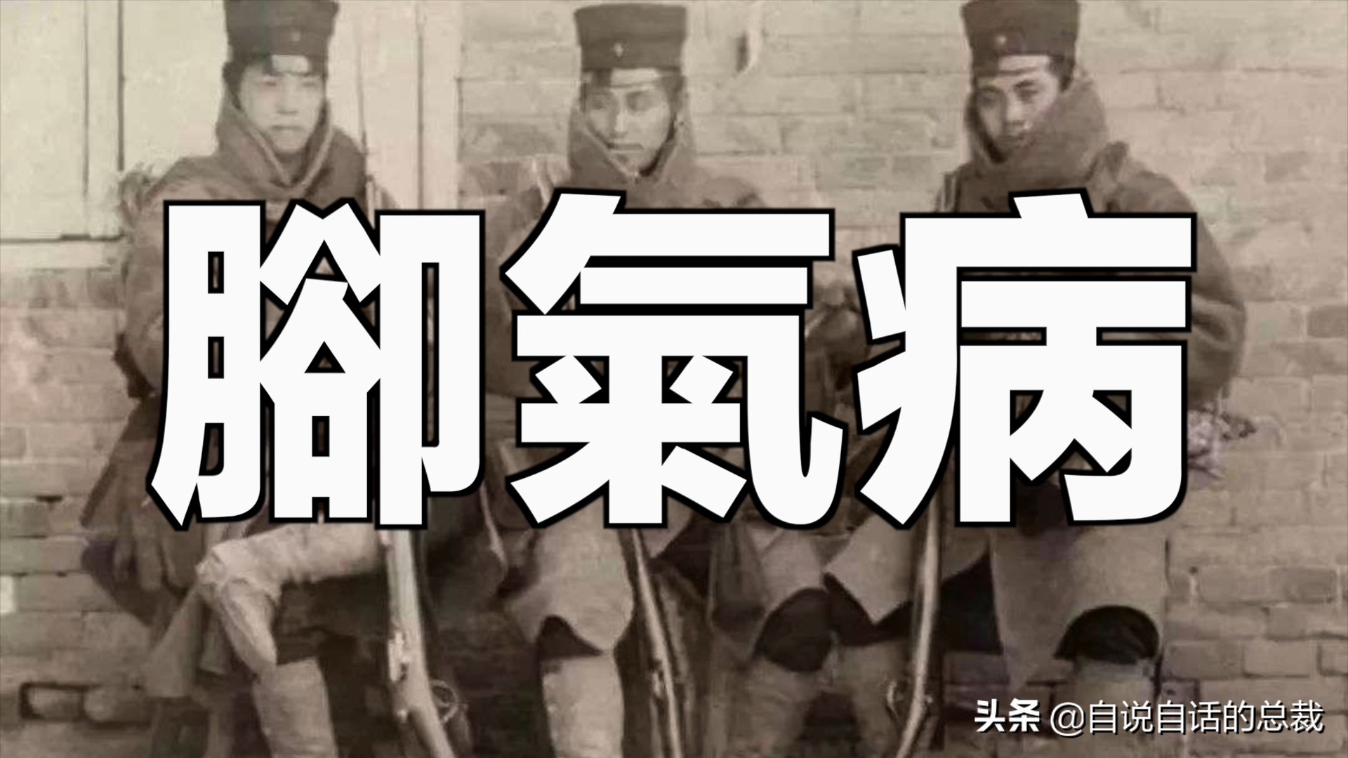 蚬蚌蛏的区别是什么,蚶子蛤蜊蚬子区别