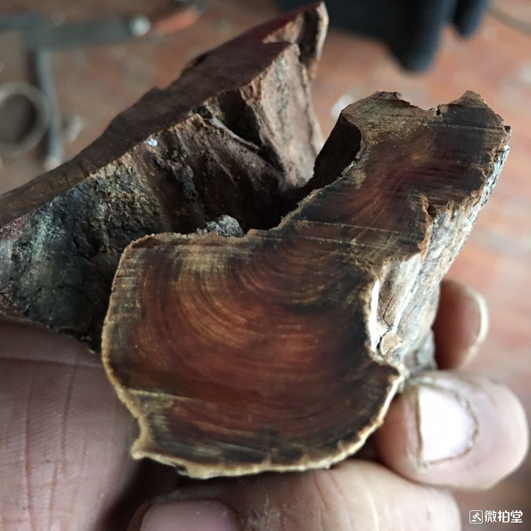 沉香保命崖柏救命,沉香好还是崖柏好