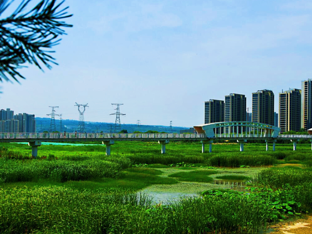 西安最新湿地公园,西安国家湿地公园