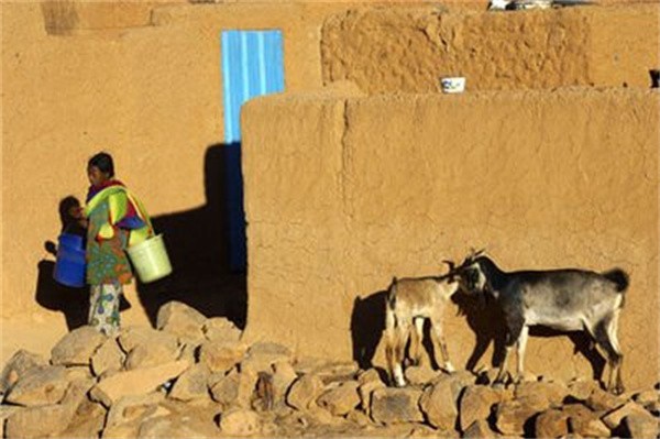 吃肉的国家尼日尔,真实的尼日尔老百姓的生活