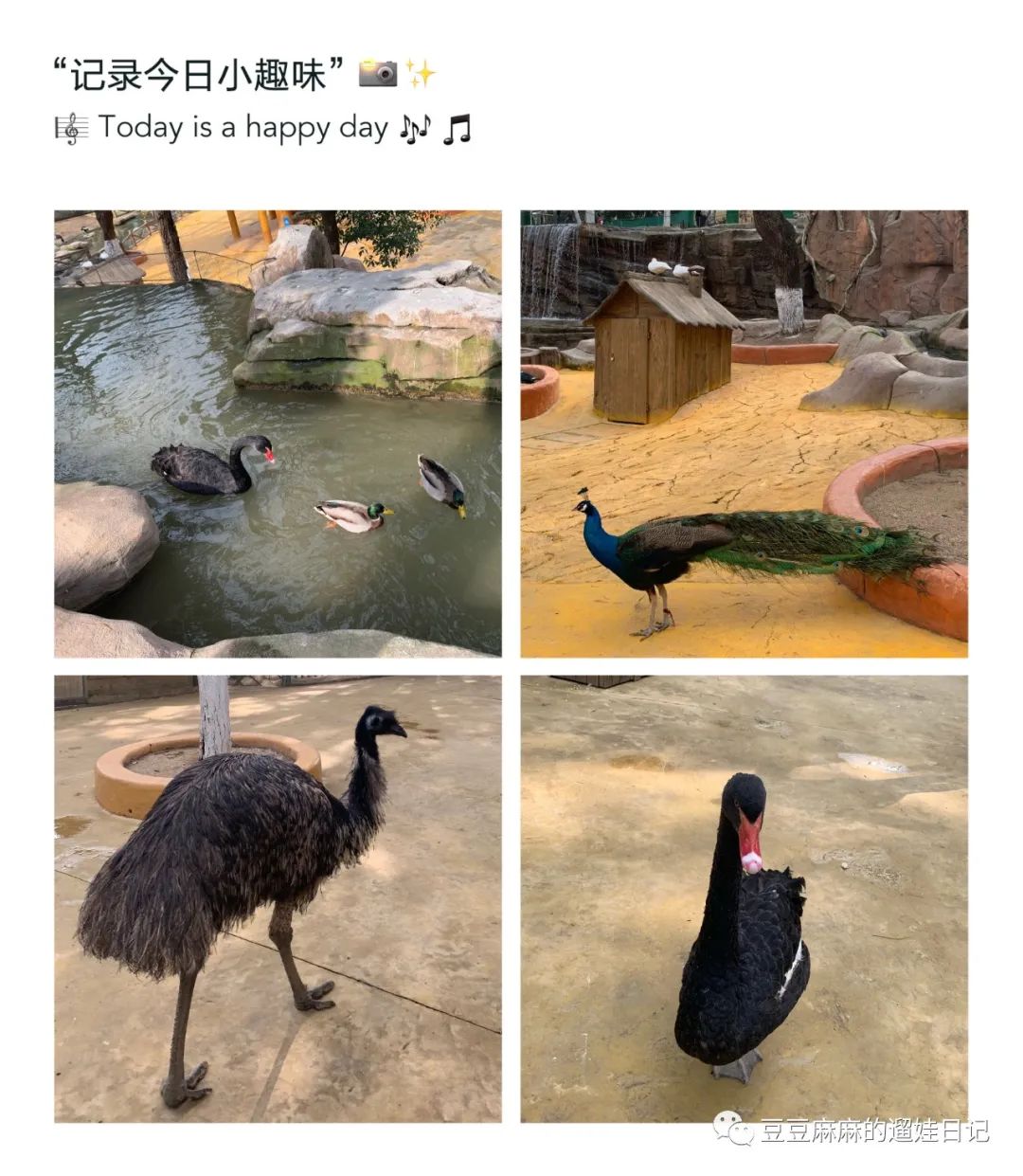 飞鸟世界和海洋世界,童话世界的小动物