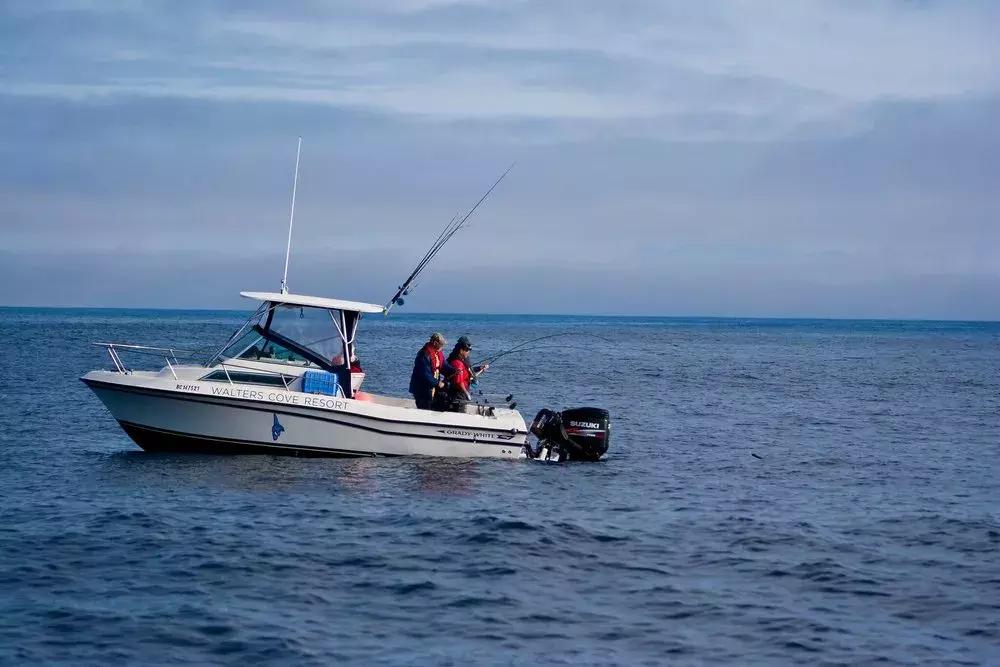 温哥华，超出你期待的钓鱼圣地