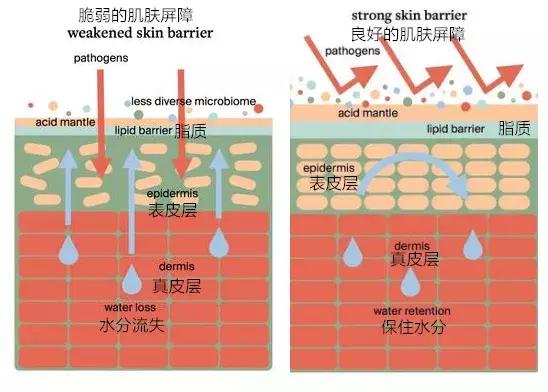 补水喷雾真实测评,平价补水喷雾真实测评