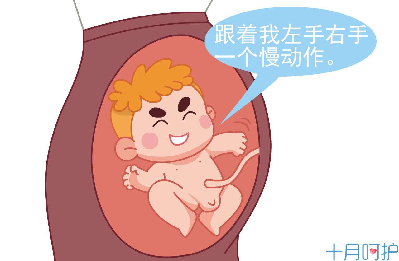 孕期最重要的产检有哪些,孕期b超一般做几次最好