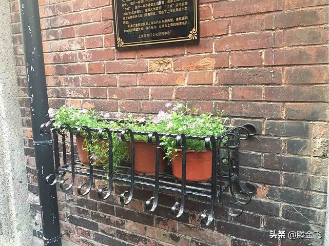 上海田子坊地铁路线,上海田子坊地址在哪