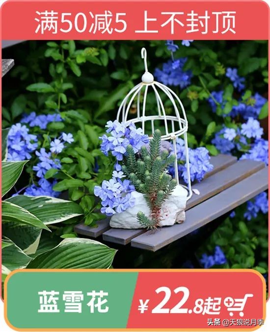 开新店买一送一活动,新店开业搞什么活动买十送十