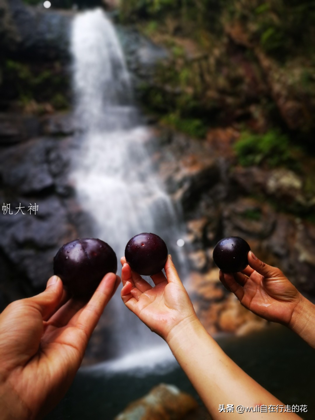 福州十八重溪徒步路线,福州森林公园登山徒步路线