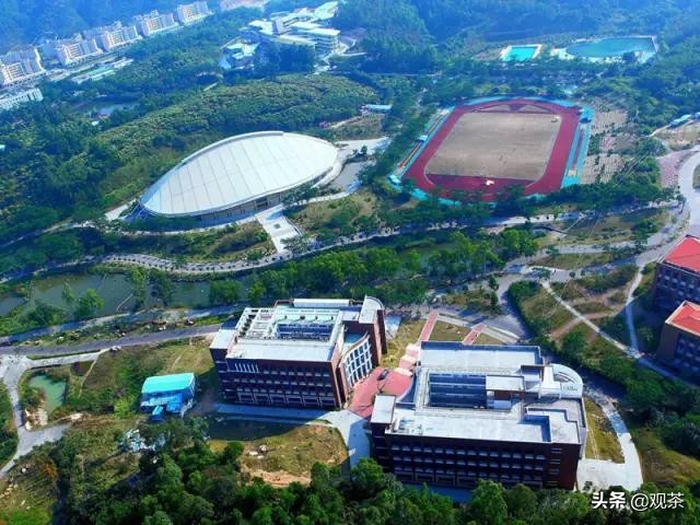 2020年后,为什么选择去珠海(教育篇)