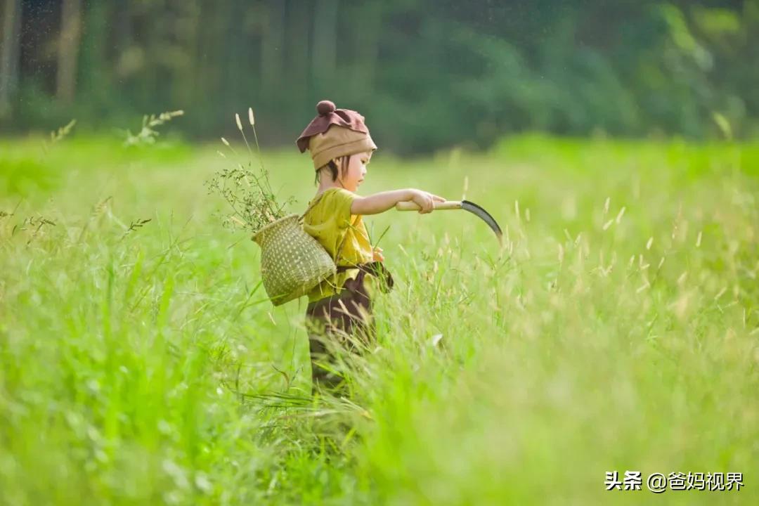 江苏中考女生800分评分标准,江苏女生中考757