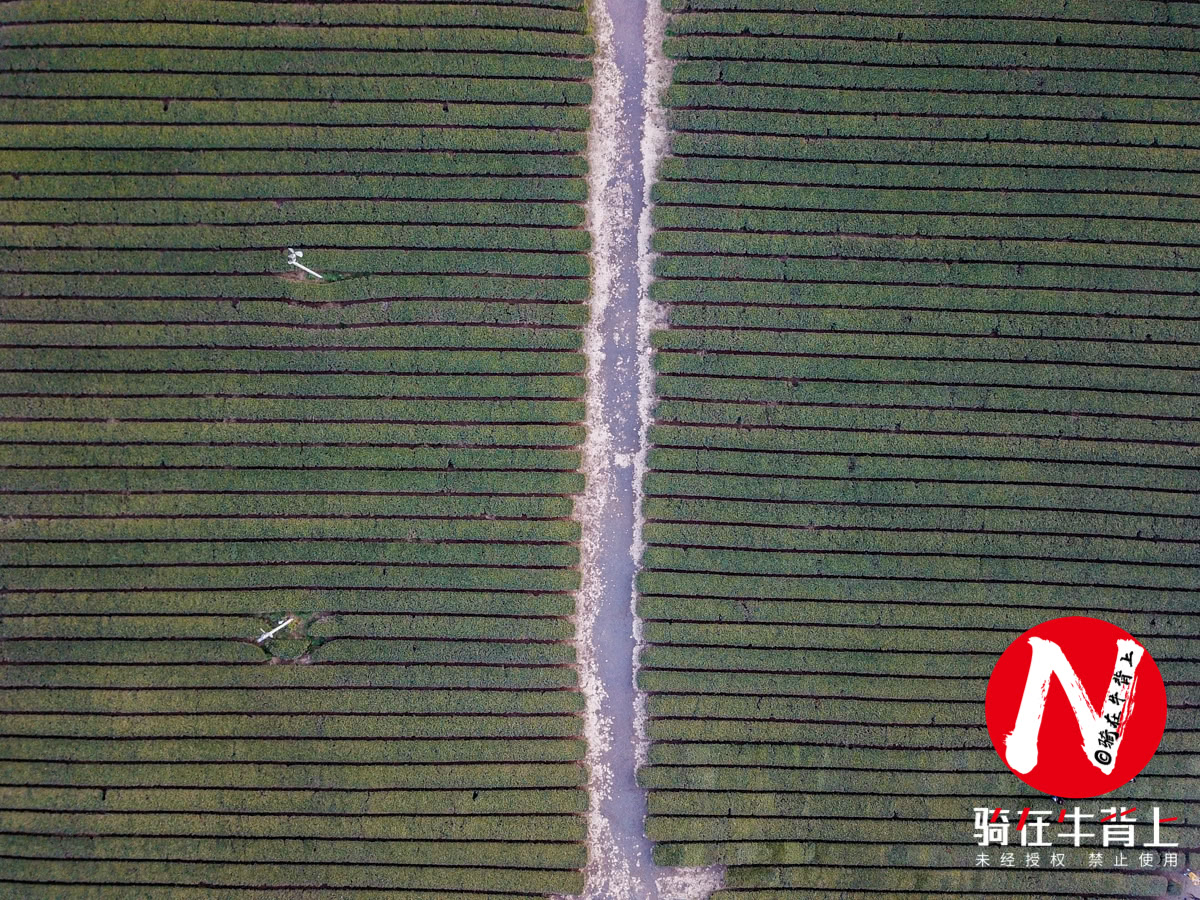 济州岛成人游乐场,韩国济州岛游乐场在哪