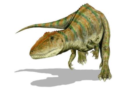 十大肉食性恐龙怎么画,肉食性恐龙视频