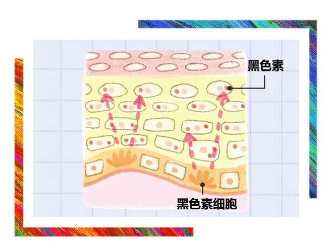 好的美白精华真的有用吗,美白精华真的可以有效美白吗