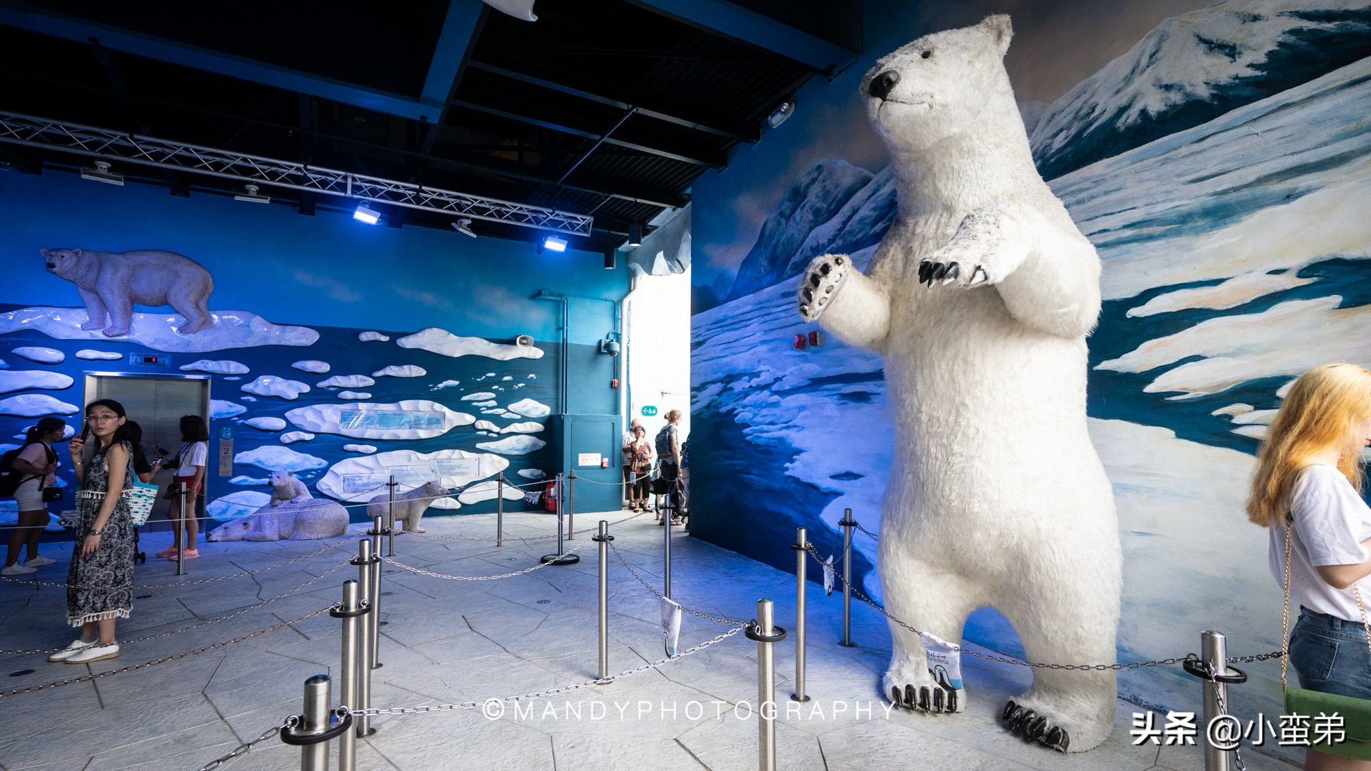 香港巡礼|是谁！敢拿水枪给20岁的海贼王庆生？