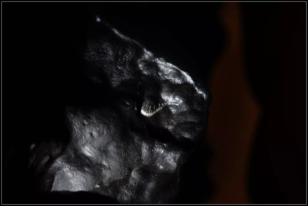 贵州乌蒙磬石和风景石的区别,乌蒙磬石奇石极品