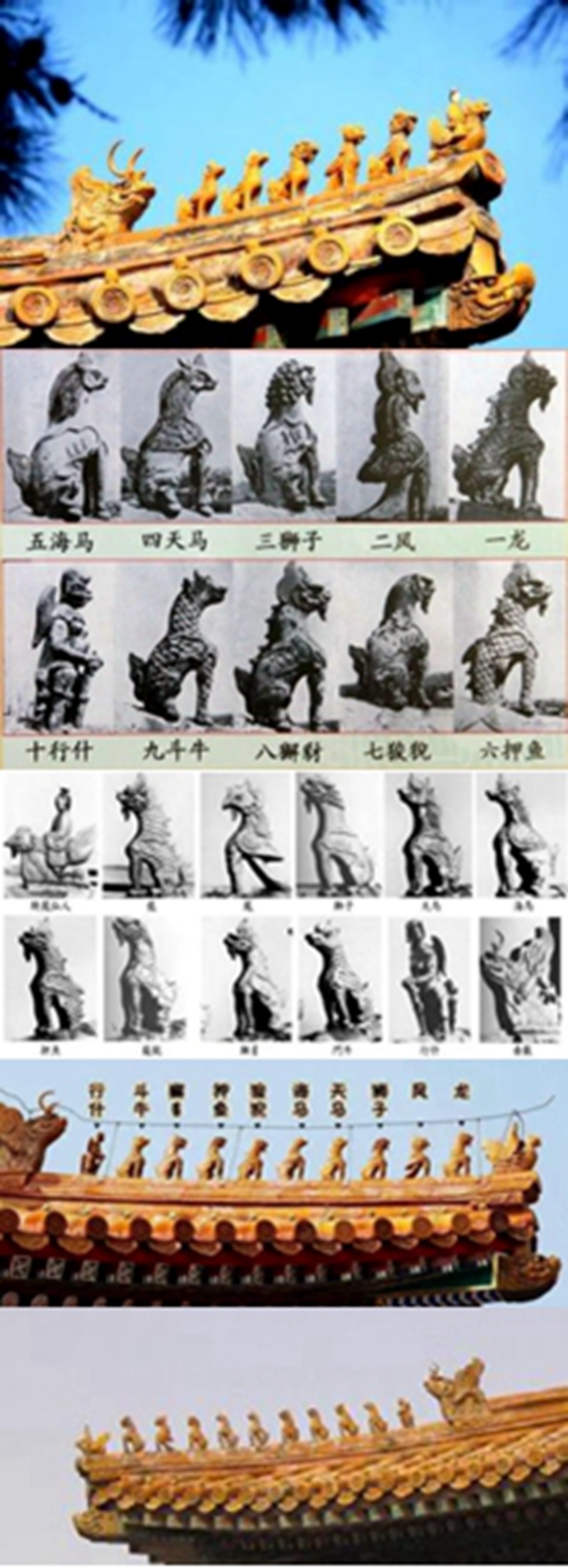 闲得五脊六兽是什么意思,闲得五脊六兽的含义