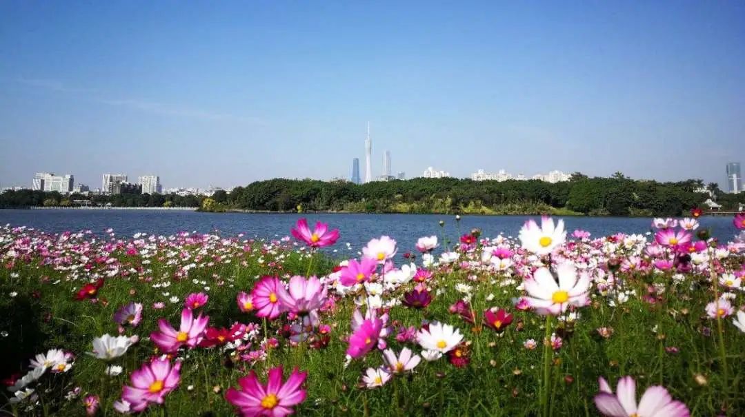 周末广州市内哪个公园最值得去,广州十大避暑旅游景点