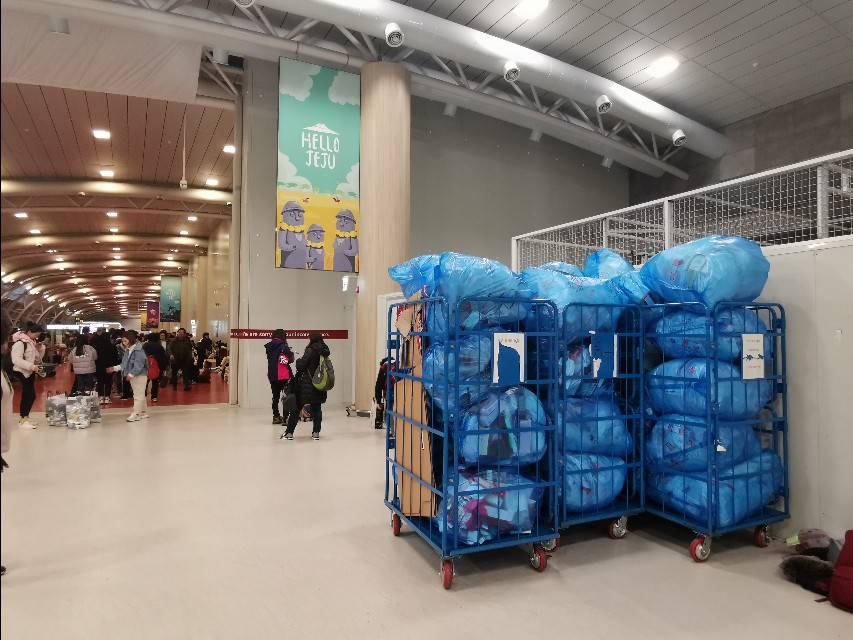 在济州岛机场，有群特殊的人群，每天都在做同一件事情