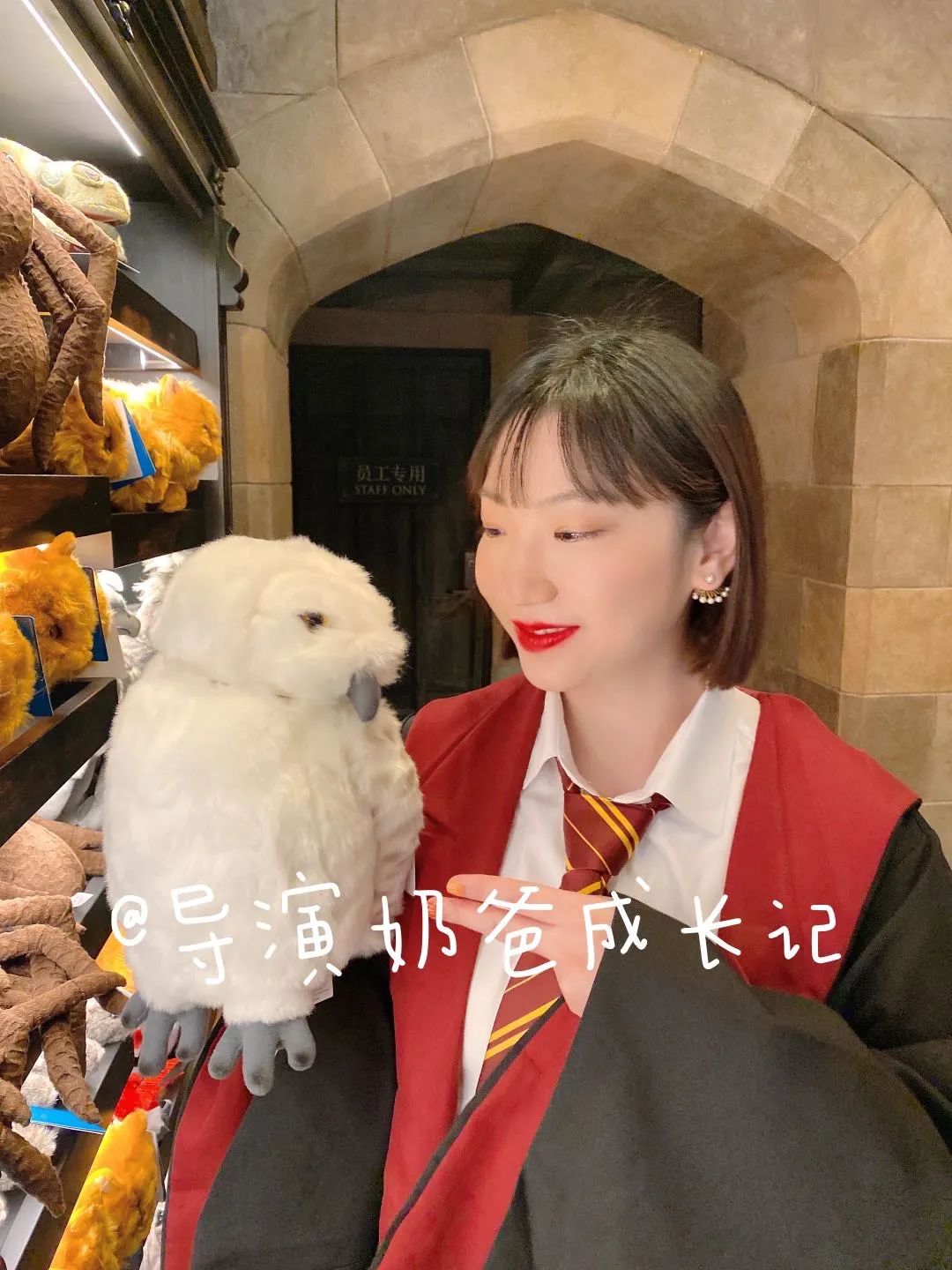 北京环球影城没有优速通怎么玩,北京环球影城没有优速通了吗