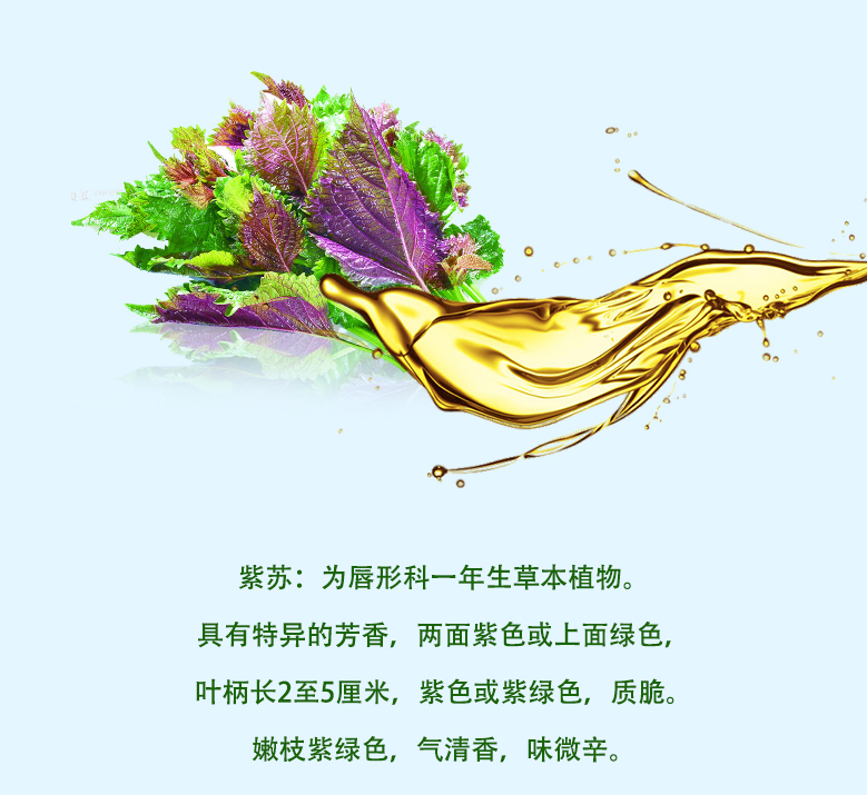 【科学小讲堂】三高人群救星之“Omega-3脂肪酸”