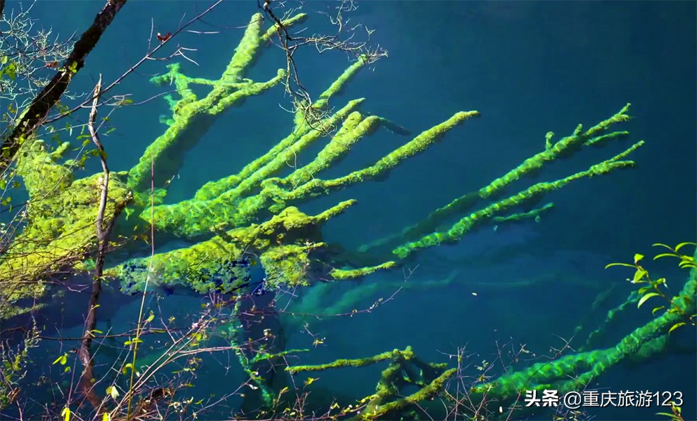 五月中旬去九寨沟旅游合适吗,五月去九寨沟天气