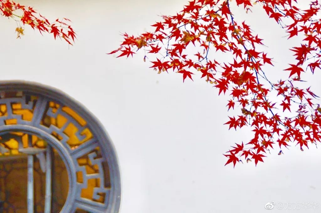 一到秋天南京就成了金陵,一入秋南京就成了金陵