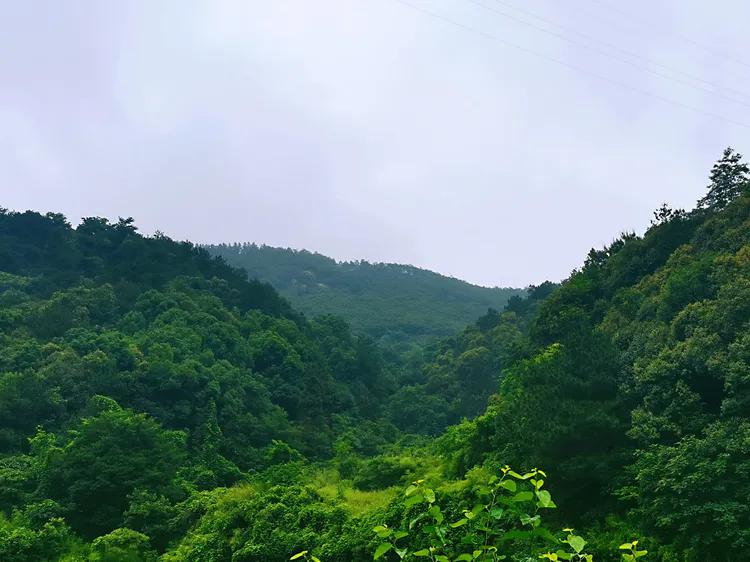 华容县景点排名,华容风景排名