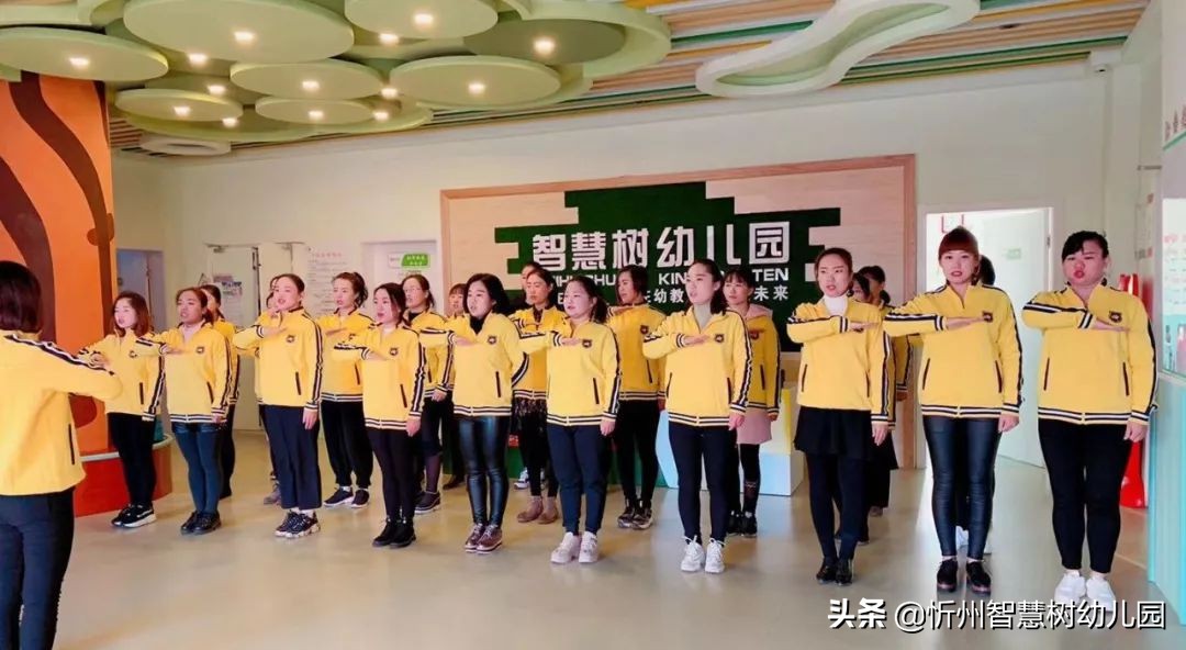 忻州智慧树幼儿园,五德智慧树幼儿园报名费