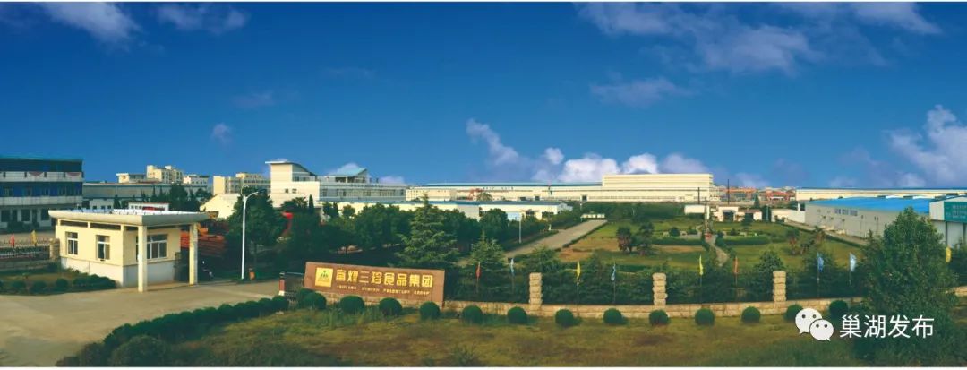 上榜!巢湖两家单位获省级表彰