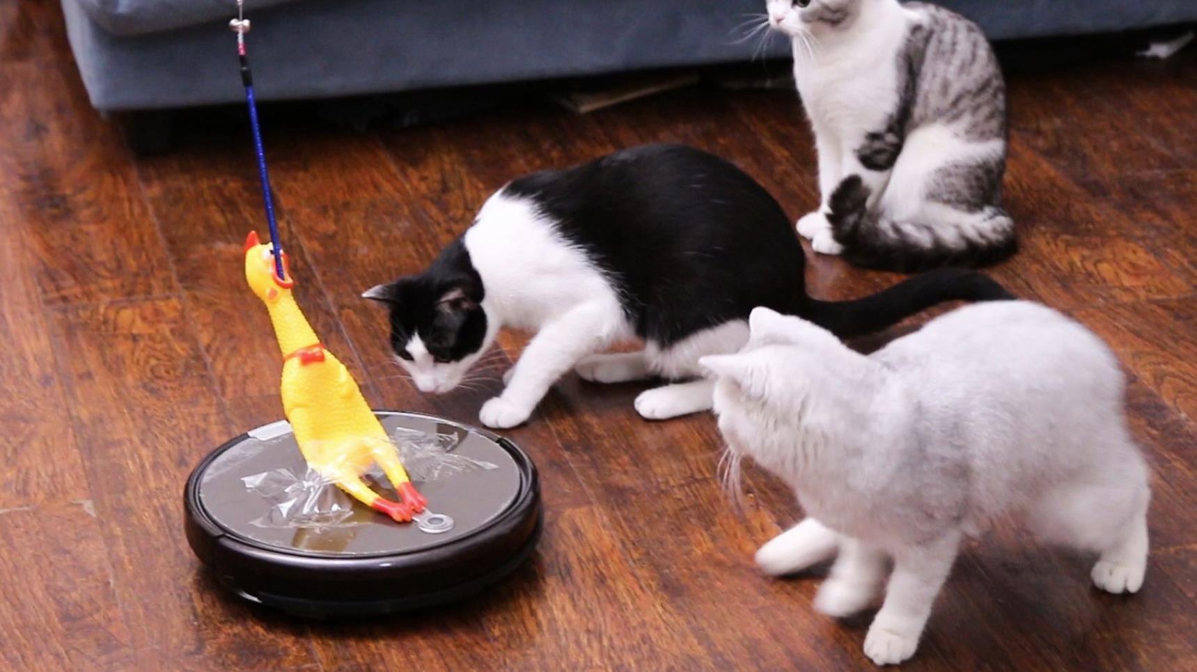 十大最后悔买的扫地机器,30元扫地机