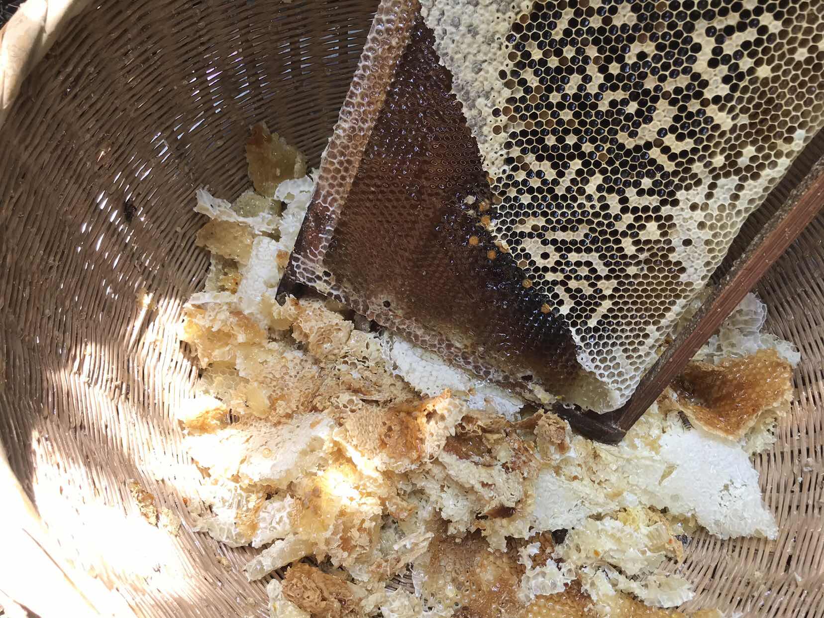 老蜂农新思想蜂蜜卖上互联网,养蜂人如何宣传自己的蜂蜜