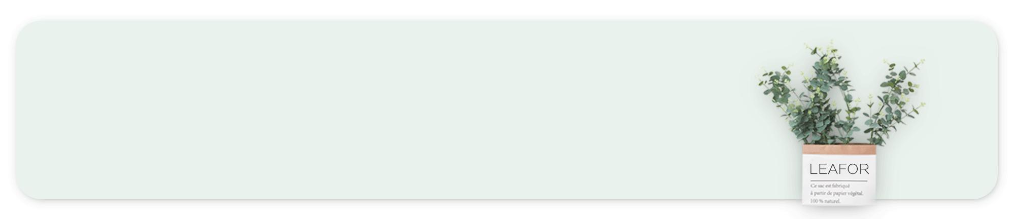 绿符LEAFOR|七里香的香到底是什么香？