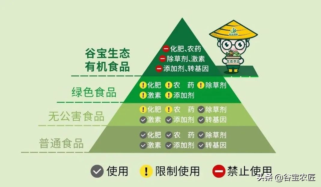 喜报荣获省级称号,喜报获金奖