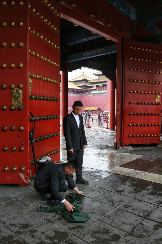 春雨图,春雨照片真实图