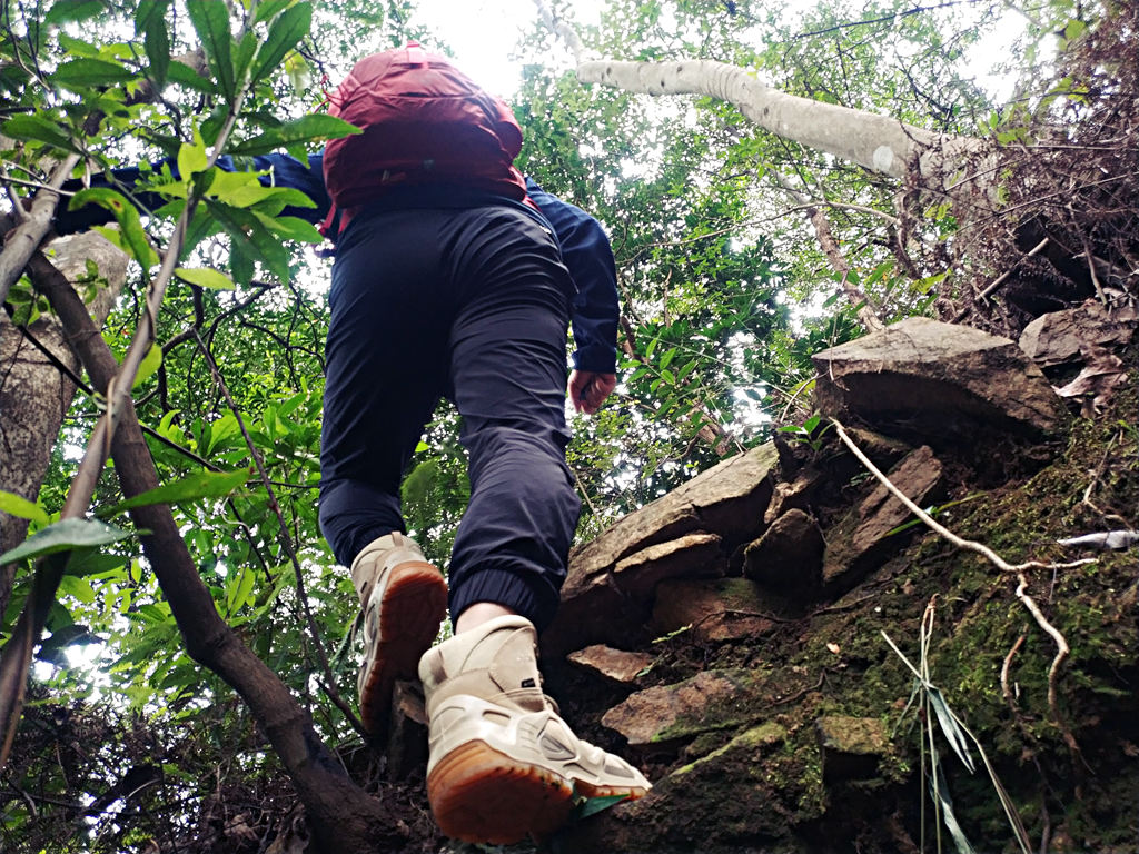 要尽兴,lowazephyrgtx评测