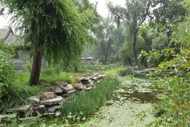 黑鱼基本都在哪,关于黑鱼的深度解析