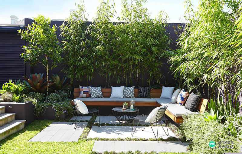 院子适合种的花和设计,庭院设计植物大全