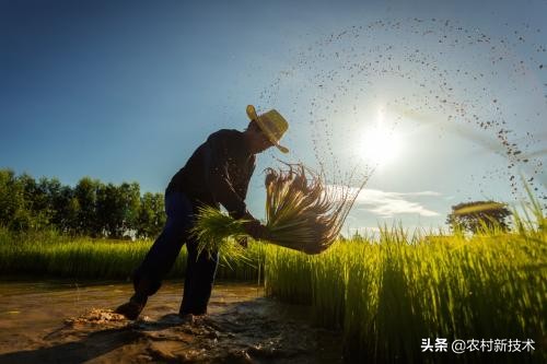 在农村创业没有钱咋办？金融服务来助力