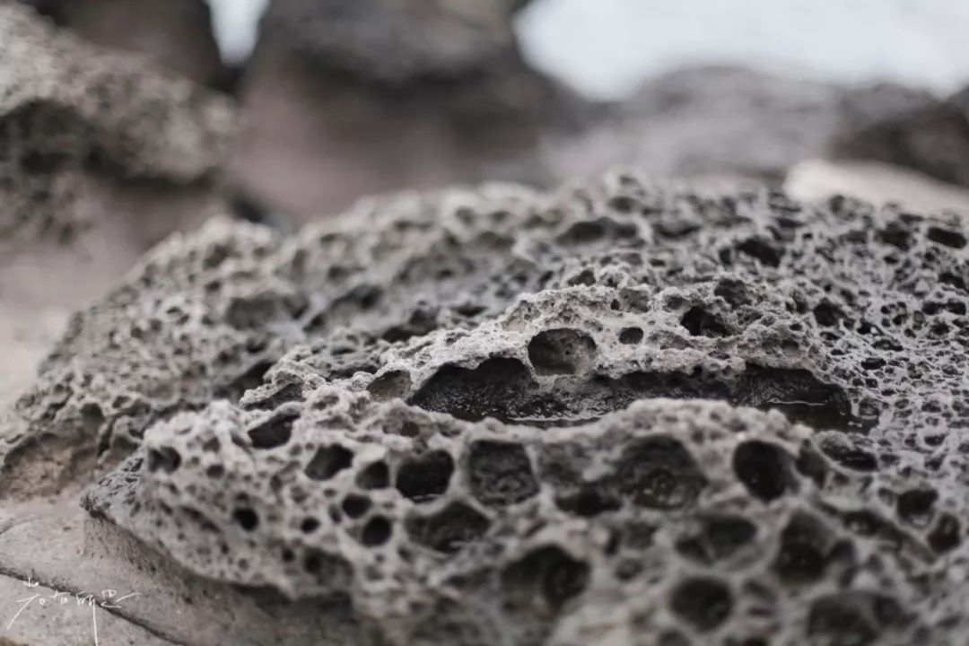 济州岛应该冬天去还是夏天去,冬日济州岛怎么玩