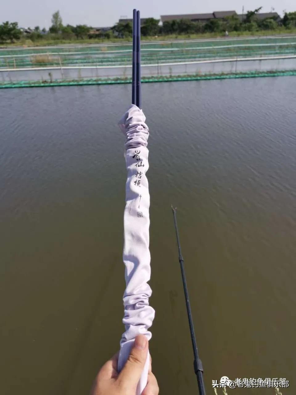 七月野钓罗非鱼,七月高温钓鱼