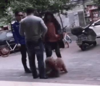 狗狗交配时强行将它们分开？脑子是个好东西，希望你能有！