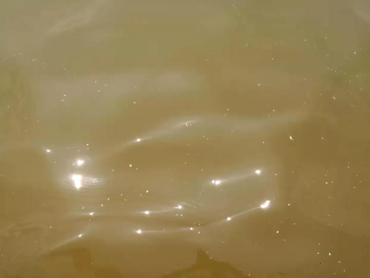 华润小径湾海滩,华润小径湾海边退潮时间