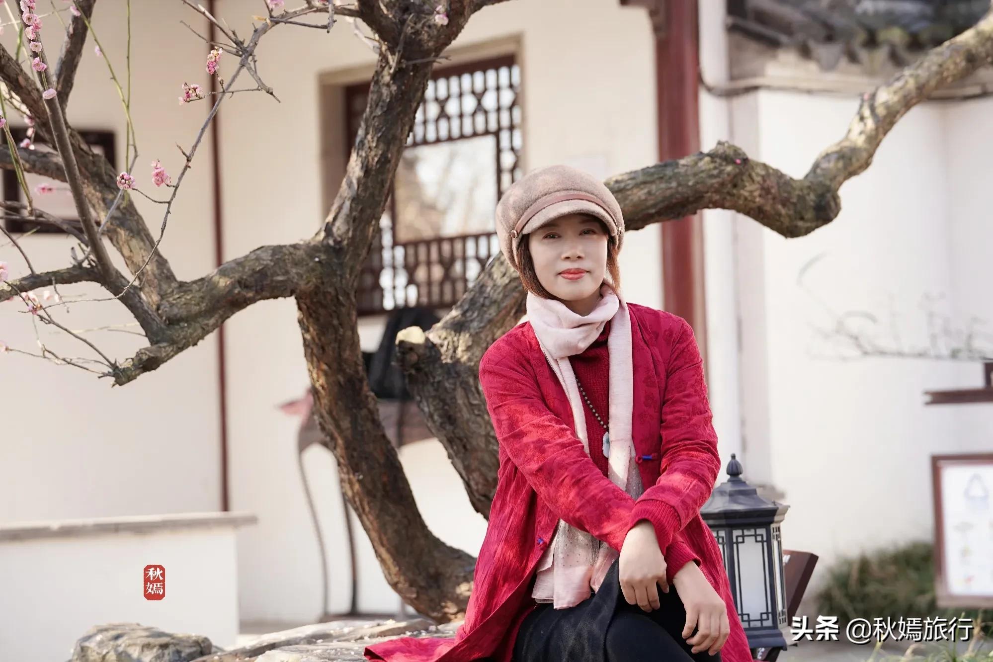 雨中赏樱别有意境,雨中赏玉兰美句