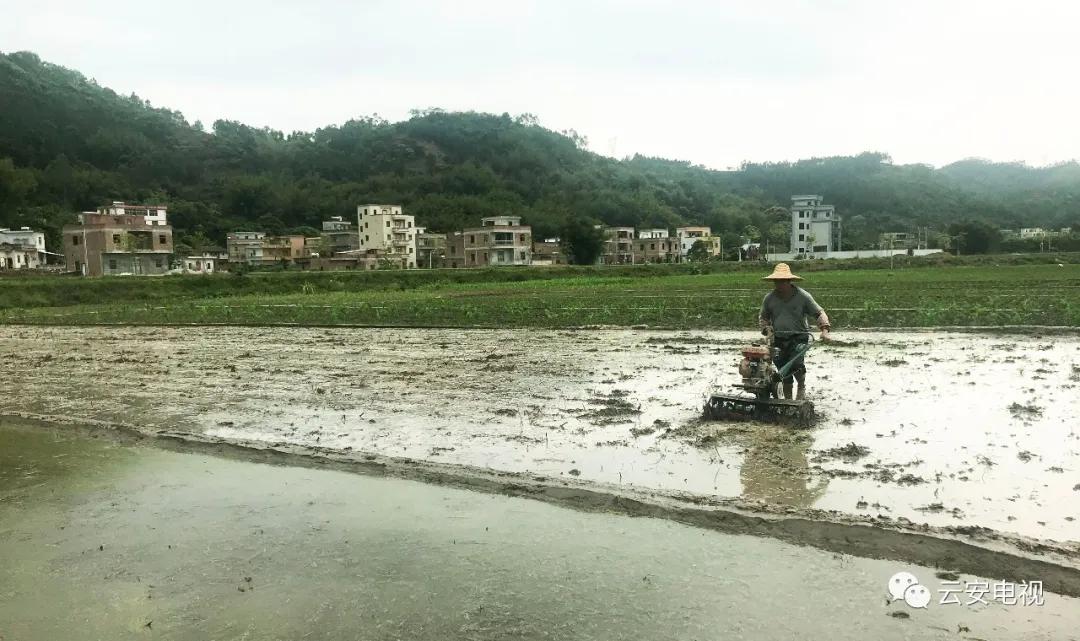 微耕机补助政策,农业补贴政策微耕机
