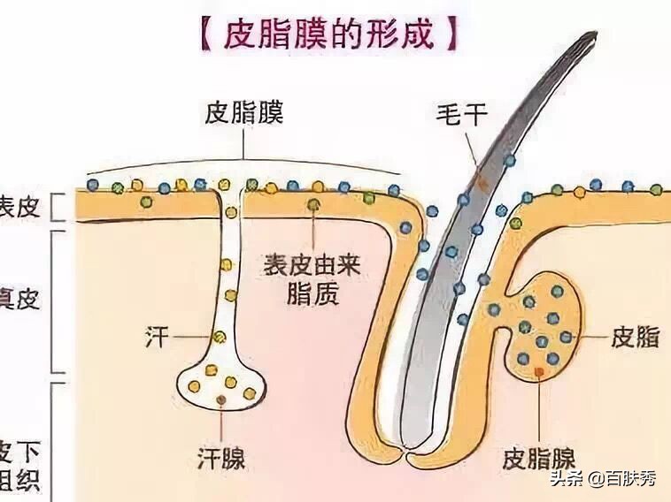 别再被所谓外油内干肤质忽悠了,适合外油内干肤质的温和护肤品