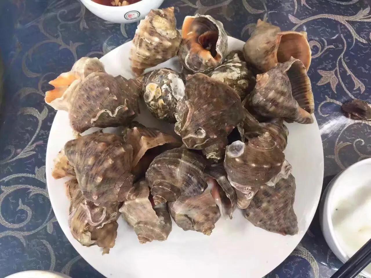 山东长岛自助游攻略,山东长岛游玩攻略视频