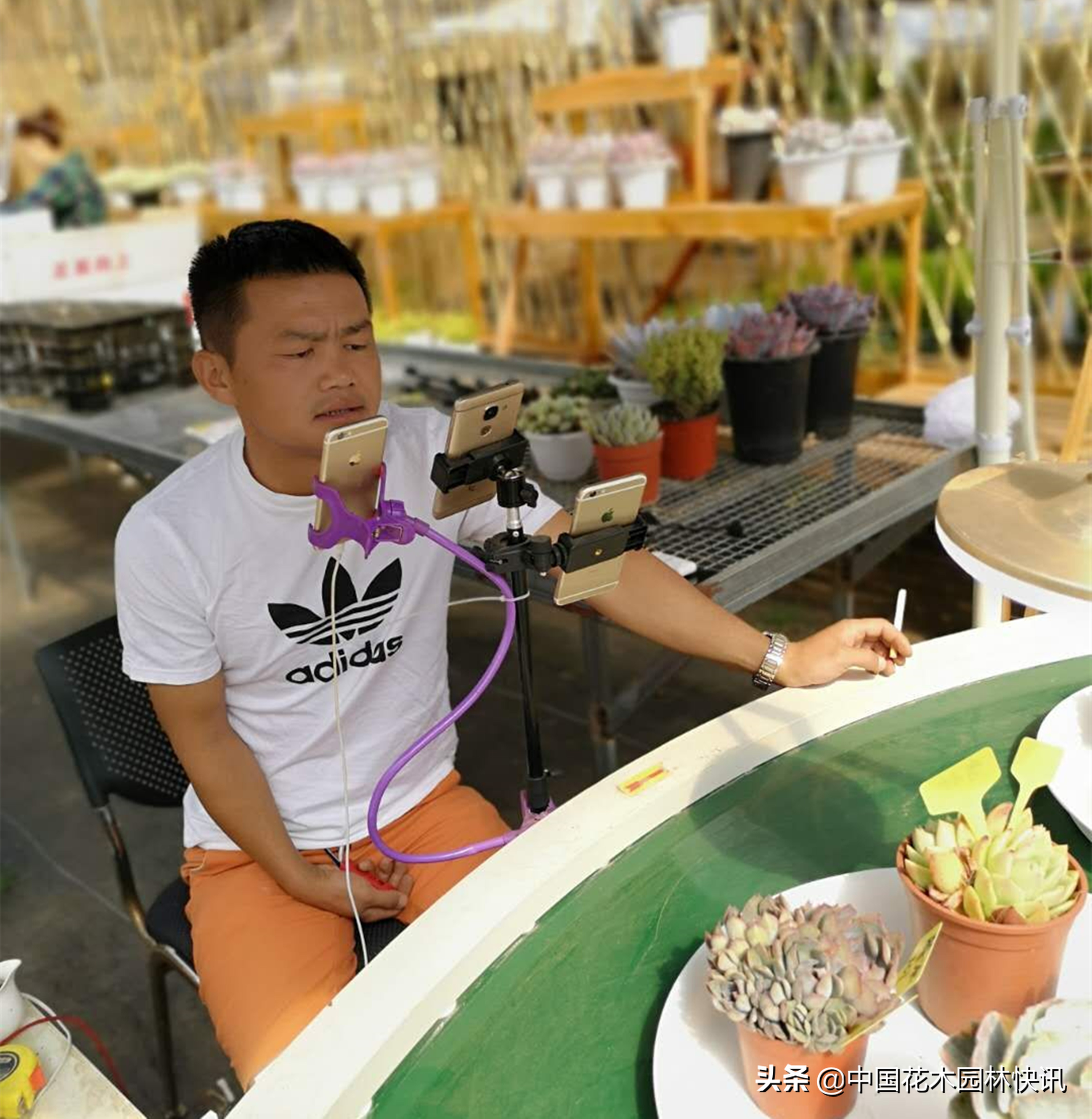 网络营销直播带货的介绍,网络直播营销行为规范