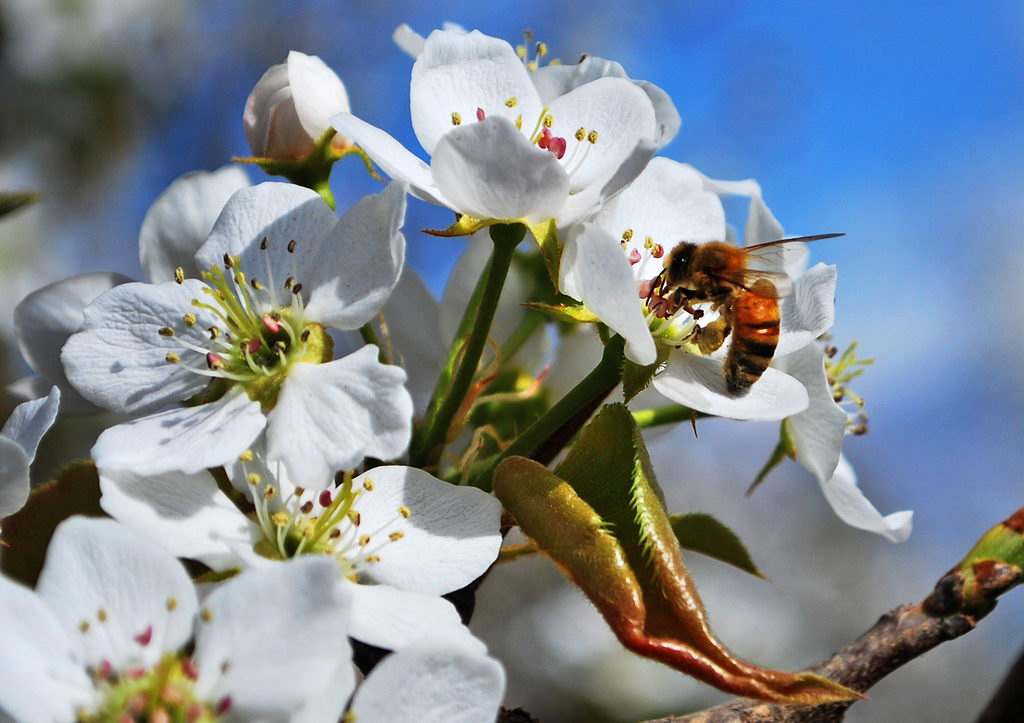 野草诗社全集视频,野草诗社简介