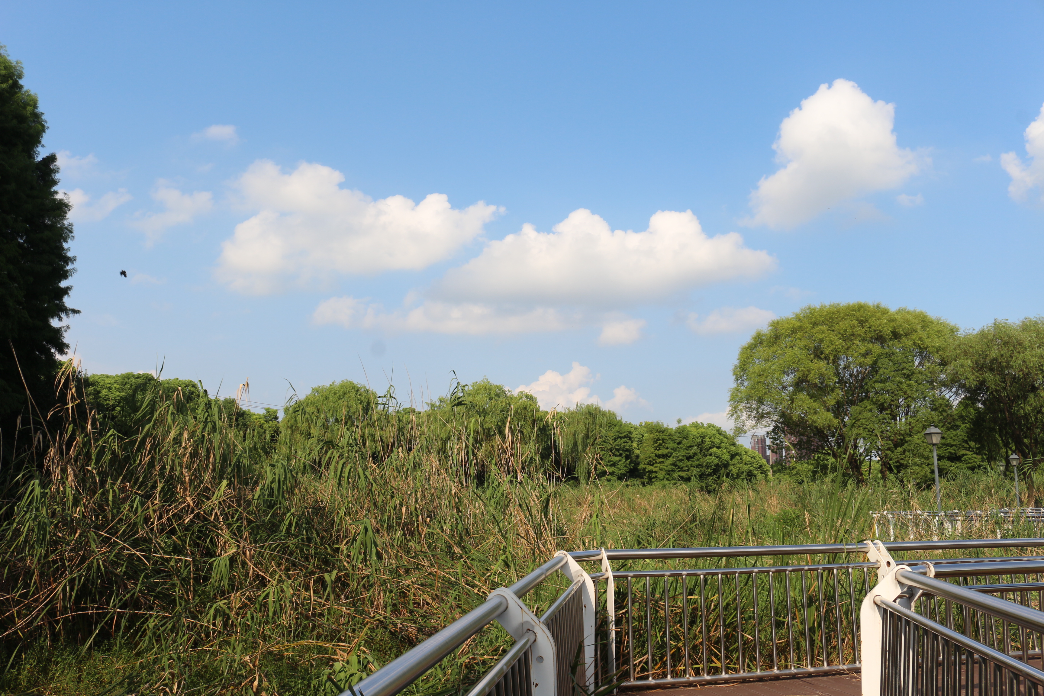 雨人岛公园无锡,雨人岛公园