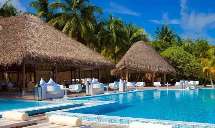 马尔代夫浮潜珊瑚最好的岛,马尔代夫魔富士岛浮潜攻略