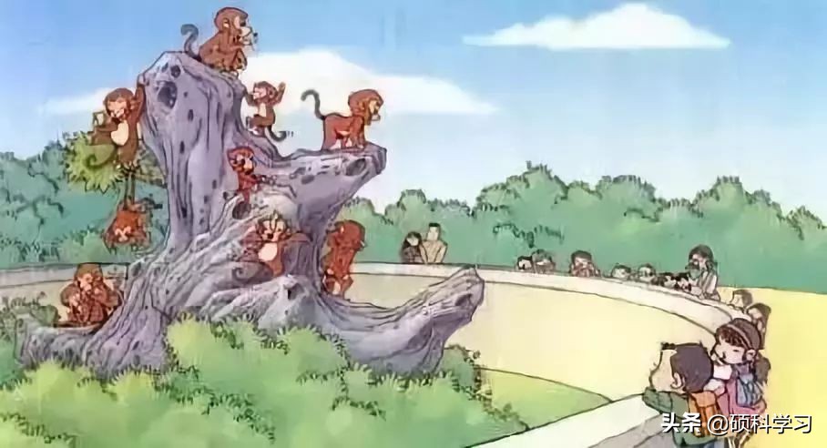 一二年级必考看图写话训练及范文,二年级看图写话写作技巧及练习